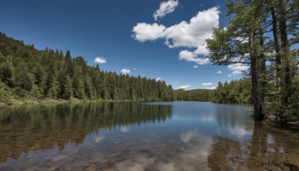 outdoors,sky,day,cloud,water,tree,blue sky,no humans,cloudy sky,grass,nature,scenery,forest,reflection,river,landscape,lake,reflective water