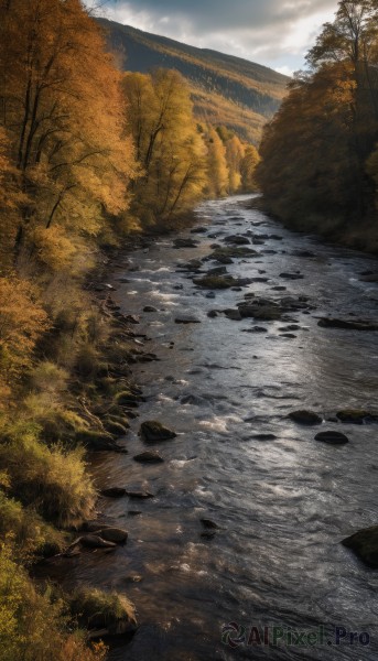 outdoors,sky,day,cloud,water,tree,no humans,sunlight,cloudy sky,grass,nature,scenery,forest,reflection,rock,bush,river,landscape,stream,blue sky,mountain,autumn leaves,autumn