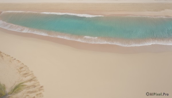 A delightful capture of a abstract within background