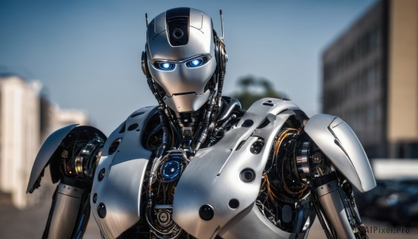 Image of a android in a peaceful day