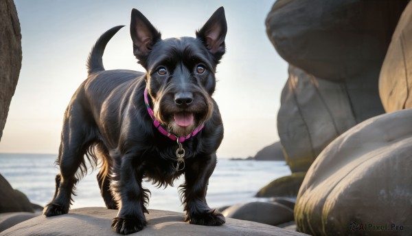 A dog portrayed in a refreshing day