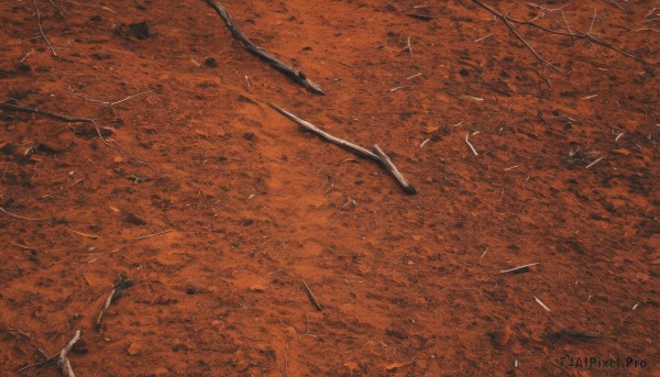 weapon,outdoors,sword,tree,no humans,from above,traditional media,scenery,brown theme,orange theme,solo,monochrome,bird,nature