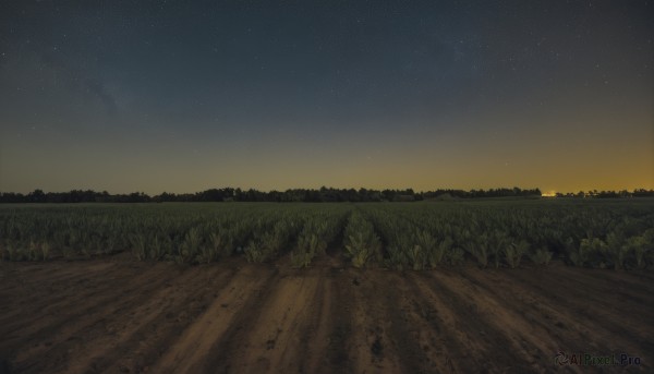 outdoors,sky,tree,no humans,night,grass,star (sky),nature,night sky,scenery,starry sky,sunset,road,field,path,plant,forest,shooting star