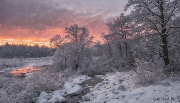 outdoors,sky,cloud,tree,no humans,cloudy sky,grass,nature,scenery,snow,forest,sunset,winter,bare tree,evening,landscape,gradient sky,orange sky,pine tree,water,ice,snowing,river