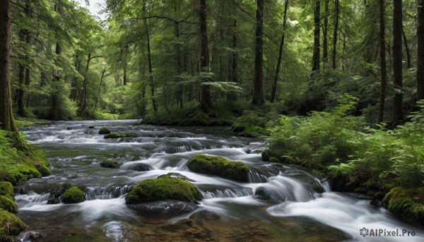 A majestic image of a waterfall in day