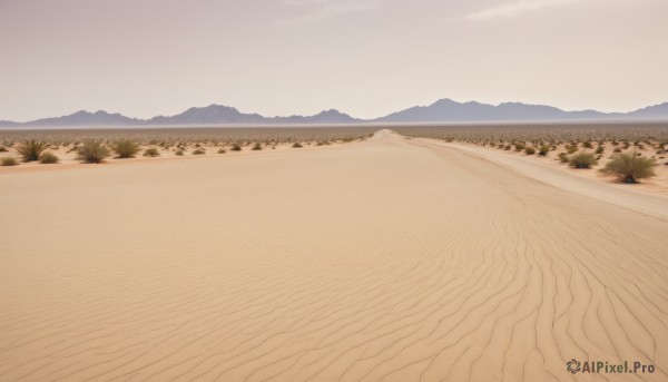 A delightful capture of a landscape within day