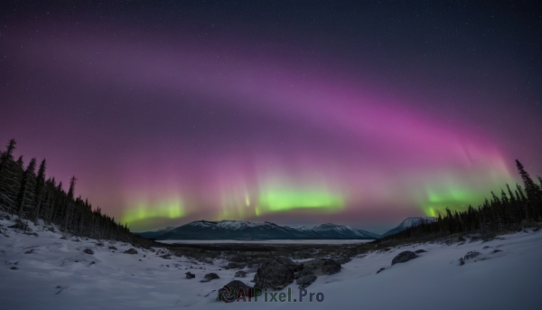 outdoors,sky,tree,no humans,night,star (sky),nature,night sky,scenery,snow,forest,starry sky,rock,mountain,winter,landscape,mountainous horizon,pine tree,aurora,water,blurry,grass