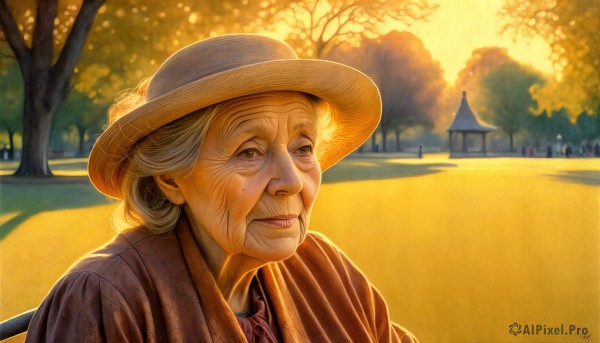 HQ,1girl,solo,looking at viewer,smile,hat,brown eyes,closed mouth,upper body,grey hair,outdoors,japanese clothes,signature,mole,tree,lips,mole under eye,portrait,sun hat,realistic,road,old,old man,old woman,wrinkled skin