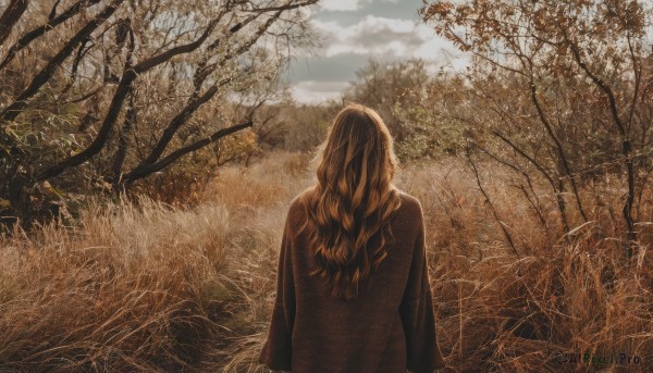 1girl,solo,long hair,brown hair,long sleeves,outdoors,sky,day,cloud,from behind,tree,wavy hair,cloudy sky,grass,nature,scenery,forest,arms at sides,facing away,bare tree,upper body