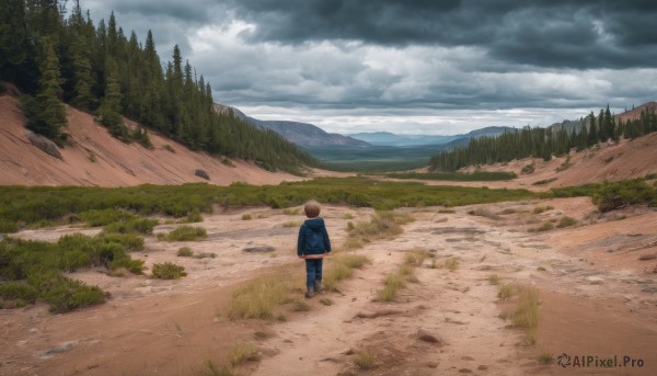 solo,short hair,brown hair,long sleeves,1boy,hat,standing,jacket,male focus,outdoors,sky,day,pants,cloud,hood,bag,from behind,tree,hoodie,backpack,cloudy sky,grass,blue jacket,nature,scenery,forest,walking,mountain,blue pants,facing away,road,wide shot,landscape,path,shoes,denim,jeans,mountainous horizon,hill