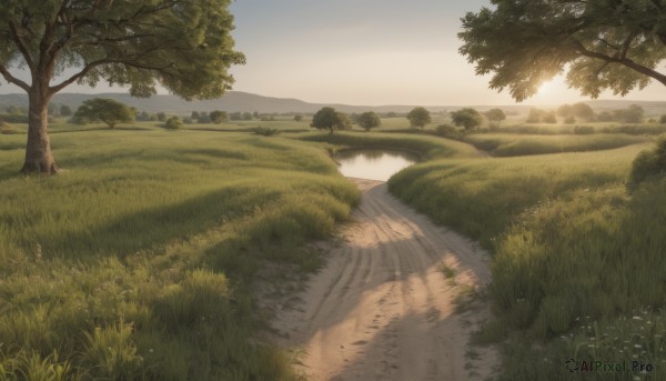 outdoors,sky,day,water,tree,no humans,sunlight,grass,nature,scenery,road,river,landscape,path,flower,cloud,blue sky,sunset,mountain,bush,field