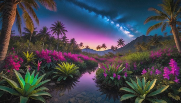 flower, outdoors, sky, cloud, water, tree, no humans, night, grass, plant, star (sky), nature, night sky, scenery, starry sky, sunset, mountain, palm tree, purple sky