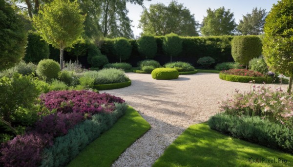 A glimpse of a garden in a lush day