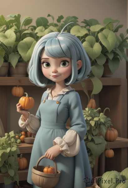 1girl,solo,looking at viewer,smile,short hair,bangs,long sleeves,dress,holding,closed mouth,green eyes,blue hair,standing,ahoge,grey hair,food,artist name,indoors,signature,medium hair,lips,fruit,blue dress,swept bangs,leaf,border,holding food,plant,child,basket,female child,potted plant,holding fruit,vegetable,holding basket,freckles,pumpkin,holding vegetable