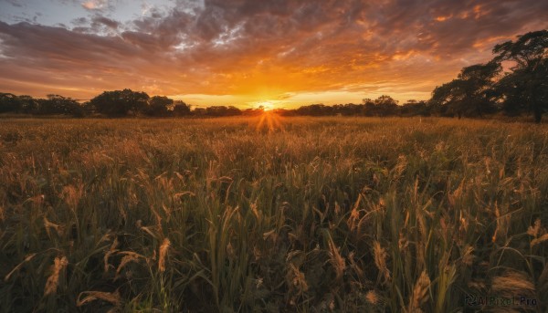 A landscape framed by the beauty of a calm sunset outdoors
