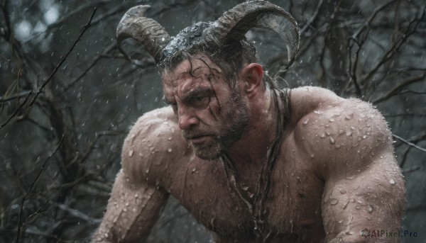 solo,short hair,black hair,1boy,jewelry,nipples,upper body,male focus,nude,horns,necklace,black eyes,tree,wet,muscular,facial hair,scar,pectorals,muscular male,demon horns,bara,beard,snow,topless male,snowing,mature male,realistic,curled horns,chest hair,bare tree,arm hair,hairy,closed mouth,outdoors,manly