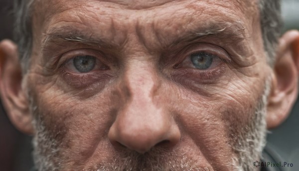 solo,looking at viewer,blue eyes,1boy,closed mouth,grey hair,male focus,blurry,grey eyes,depth of field,facial hair,portrait,beard,close-up,realistic,mustache,manly,old,old man,wrinkled skin,signature,blurry background