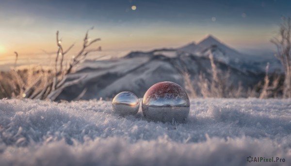 A unique subject showcased in a vivid outdoors