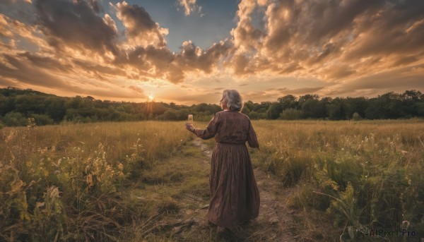 1girl,solo,short hair,long sleeves,1boy,standing,flower,grey hair,male focus,outdoors,sky,cloud,from behind,tree,coat,cloudy sky,grass,nature,scenery,walking,sunset,sun,facing away,field,old,old man,twilight,old woman,skirt,holding,hair bun,single hair bun