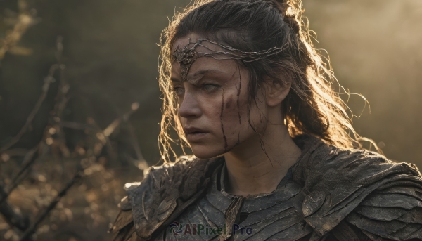 1girl,solo,long hair,brown hair,black hair,closed mouth,upper body,parted lips,armor,blurry,lips,grey eyes,blood,blurry background,scar,looking away,shoulder armor,portrait,scar on face,pauldrons,circlet,breastplate,blood on face,realistic,looking afar,tree,sunlight