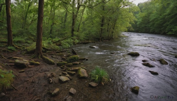 A landscape captured in a dynamic day