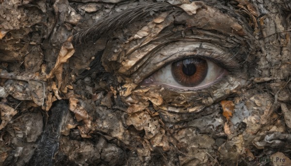 solo,no humans,from above,traditional media,scenery,reflection,science fiction,rock,crack,debris,eye focus,rubble,1girl,looking at viewer,black hair,1boy,close-up,stone