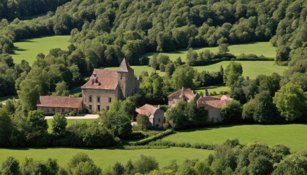 The allure of a landscape in a inviting day