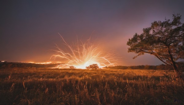 outdoors,sky,cloud,tree,no humans,grass,nature,scenery,sunset,sun,field,bare tree,twilight,evening,gradient sky,orange sky,sunlight,forest,dark,landscape