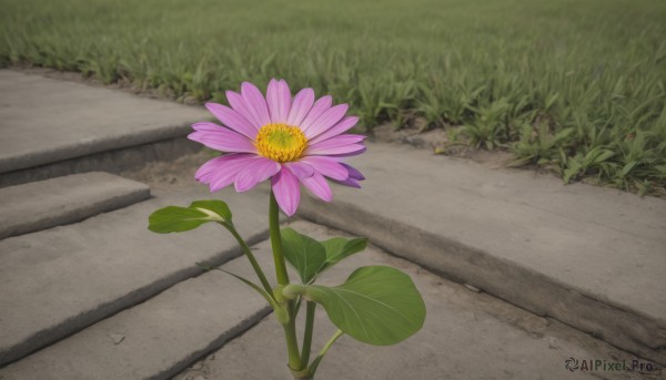 A unique subject in a tranquil day