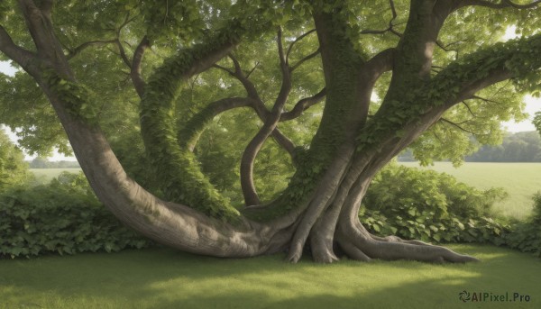 A stunning landscape captured in day