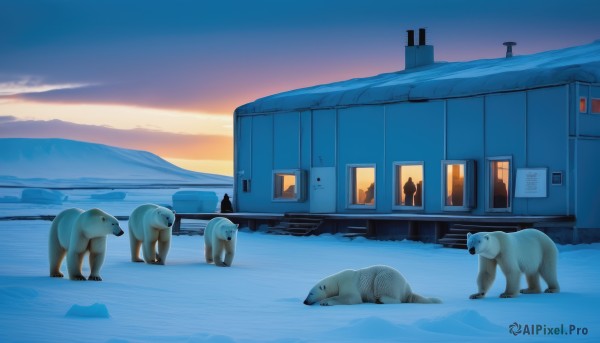 outdoors,sky,no humans,window,animal,ground vehicle,scenery,snow,sunset,dog,mountain,door,winter,twilight,evening,bear,train,gradient sky,sunrise,polar bear,cloud,shadow,building,house,animal focus,sheep,footprints