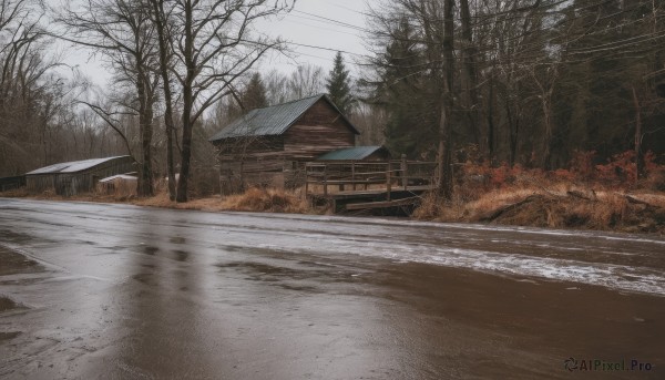 The serene presence of a street in a lush snowy day