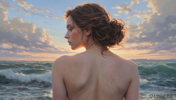 1girl,solo,blush,short hair,blue eyes,brown hair,upper body,nude,outdoors,parted lips,sky,day,looking back,cloud,water,from behind,mole,blue sky,lips,profile,ocean,back,wavy hair,scar,looking away,beach,topless,cloudy sky,freckles,curly hair,sunset,realistic,horizon,red lips,shoulder blades,waves,back focus,long hair,bare back