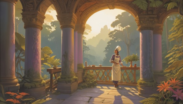 Image of a garden in a beautiful day