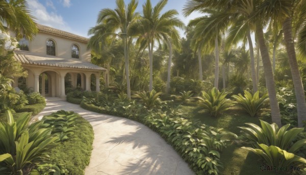 A garden caught in a breathtaking day