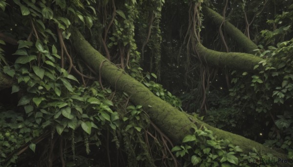A unique subject showcased in a vivid outdoors