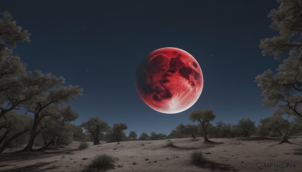 outdoors,sky,tree,no humans,night,moon,star (sky),nature,night sky,scenery,full moon,forest,starry sky,road,bare tree,red moon,path,grass