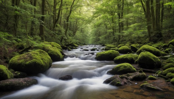 A waterfall captured in a dynamic day