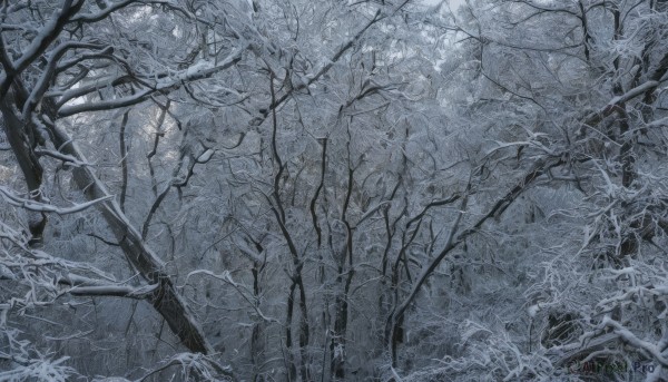 monochrome,greyscale,outdoors,tree,no humans,leaf,traditional media,nature,scenery,forest,branch,bare tree,plant,blue theme