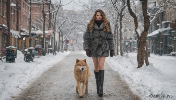 1girl, long hair, looking at viewer, brown hair, gloves, standing, boots, outdoors, black footwear, tree, coat, animal, knee boots, ground vehicle, building, motor vehicle, snow, walking, dog, snowing, realistic, winter clothes, car, road, winter, bare tree, street, winter coat, shiba inu