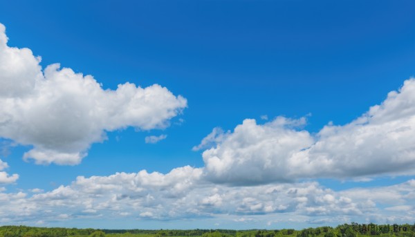The charm of a landscape in a bold day
