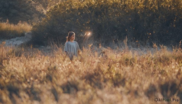 1girl,solo,long hair,brown hair,shirt,hat,standing,white shirt,upper body,short sleeves,outdoors,blurry,tree,depth of field,grass,plant,t-shirt,nature,scenery,blurry foreground,wide shot,sparkler,short hair,black hair,1boy,ponytail,male focus,from behind,night,blue shirt,night sky,wheat