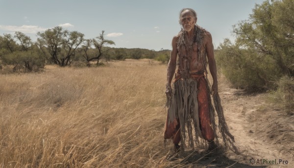 solo,looking at viewer,1boy,standing,weapon,braid,white hair,grey hair,male focus,outdoors,sky,day,pants,tree,facial hair,grass,scenery,beard,topless male,realistic,old,old man,shirt,closed mouth,sleeveless,blue sky,torn clothes,blood,field,dirty