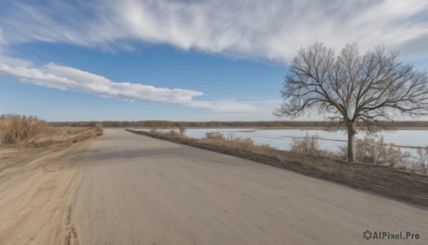 outdoors,sky,day,cloud,tree,blue sky,no humans,cloudy sky,grass,nature,scenery,forest,road,bare tree,landscape,path,realistic,sand,field,desert