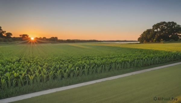 The allure of a landscape in a majestic sunset outdoors