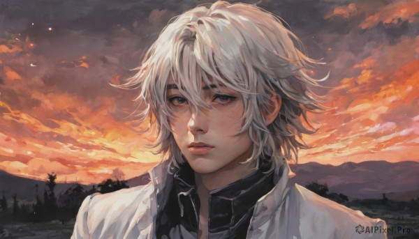 solo,looking at viewer,short hair,bangs,shirt,1boy,hair between eyes,white shirt,upper body,white hair,grey hair,male focus,outdoors,parted lips,sky,collared shirt,cloud,tree,lips,grey eyes,white jacket,cloudy sky,portrait,nature,sunset,mountain,realistic,nose,blue eyes,closed mouth,green eyes,jacket,black shirt,freckles