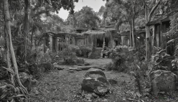 1girl,solo,monochrome,greyscale,outdoors,water,tree,leaf,grass,plant,nature,scenery,forest,rock,stairs,torii,ruins,shrine,moss,no humans,rope,bush,stone