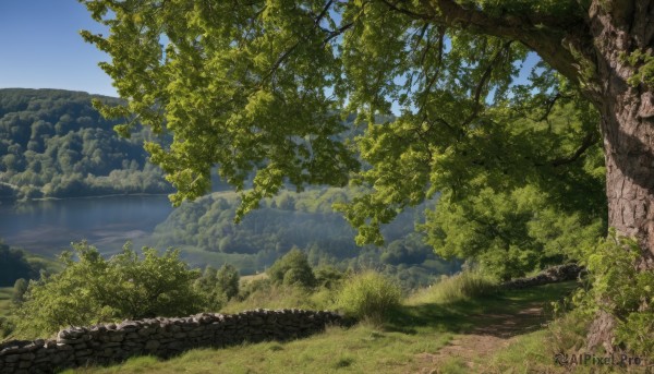 A landscape showcased in a tranquil day
