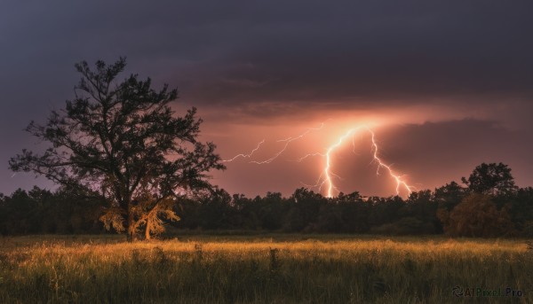 A lightning showcased in a tranquil sunset outdoors