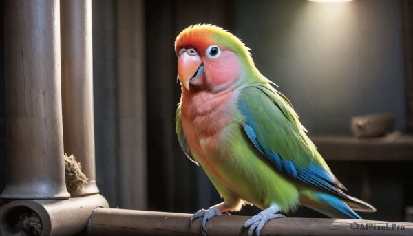 HQ,solo,indoors,blurry,black eyes,no humans,bird,animal,feathers,realistic,animal focus,pillar,talons,beak,column,parrot,looking at viewer,brown eyes,closed mouth,full body,depth of field,blurry background